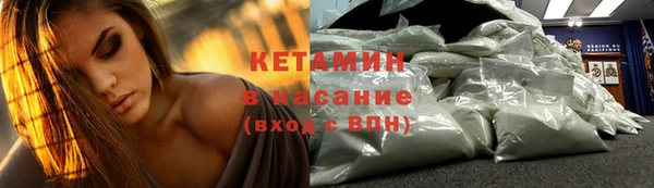 шишки Алексин