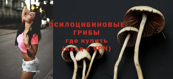 амфетамин Алексеевка