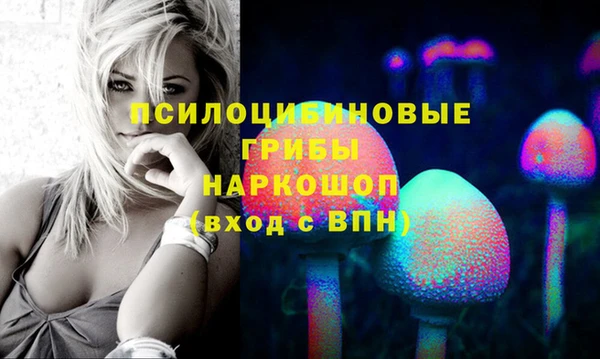 шишки Алексин