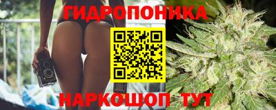 Альфа ПВП Уссурийск