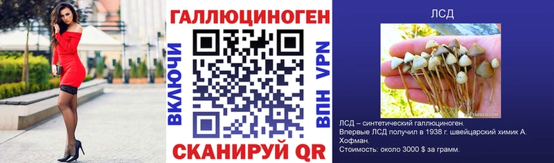Галлюциногенные грибы Psilocybe Кострома