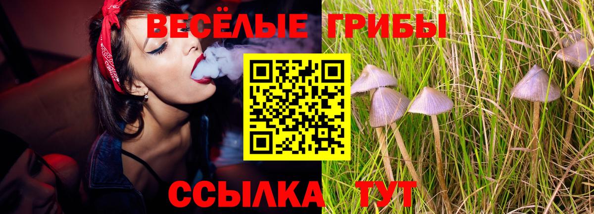 Псилоцибиновые грибы прущие грибы Кострома