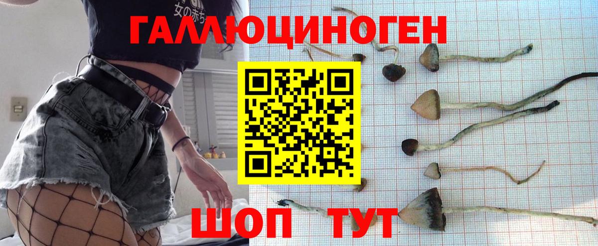 Кострома  Псилоцибиновые грибы Psilocybine cubensis  Вход с VPN 